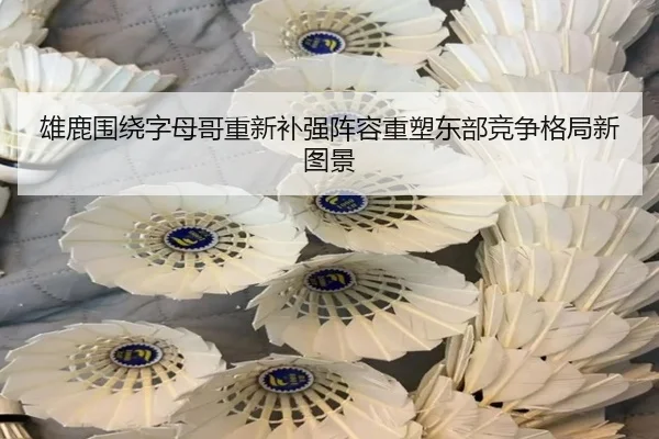 雄鹿围绕字母哥重新补强阵容重塑东部竞争格局新图景
